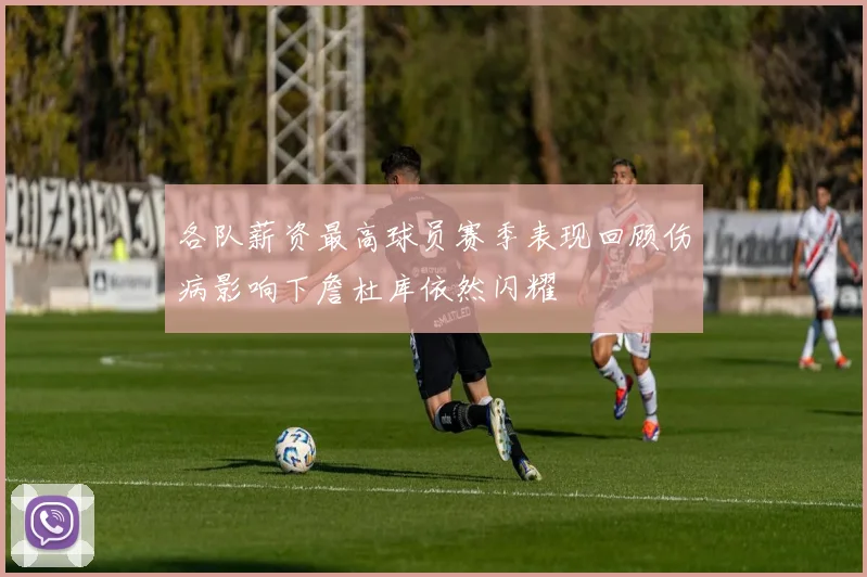 各队薪资最高球员赛季表现回顾伤病影响下詹杜库依然闪耀