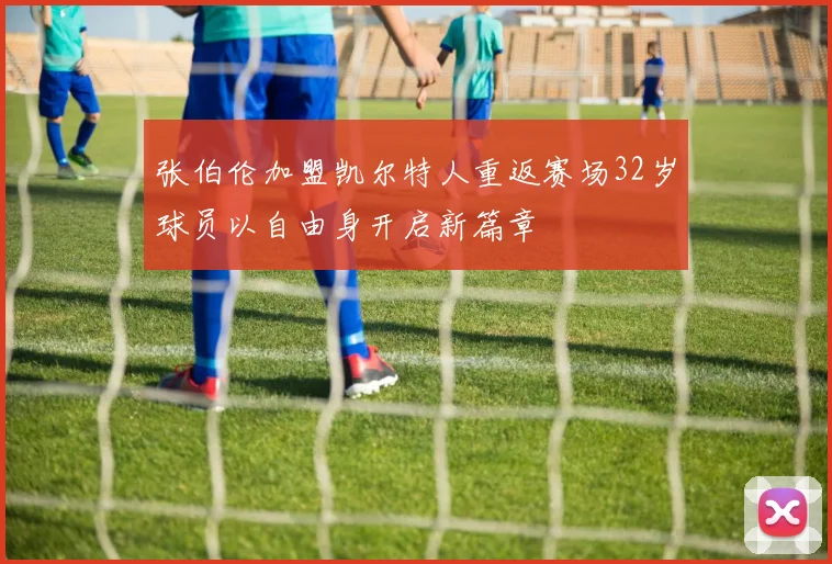 张伯伦加盟凯尔特人重返赛场32岁球员以自由身开启新篇章